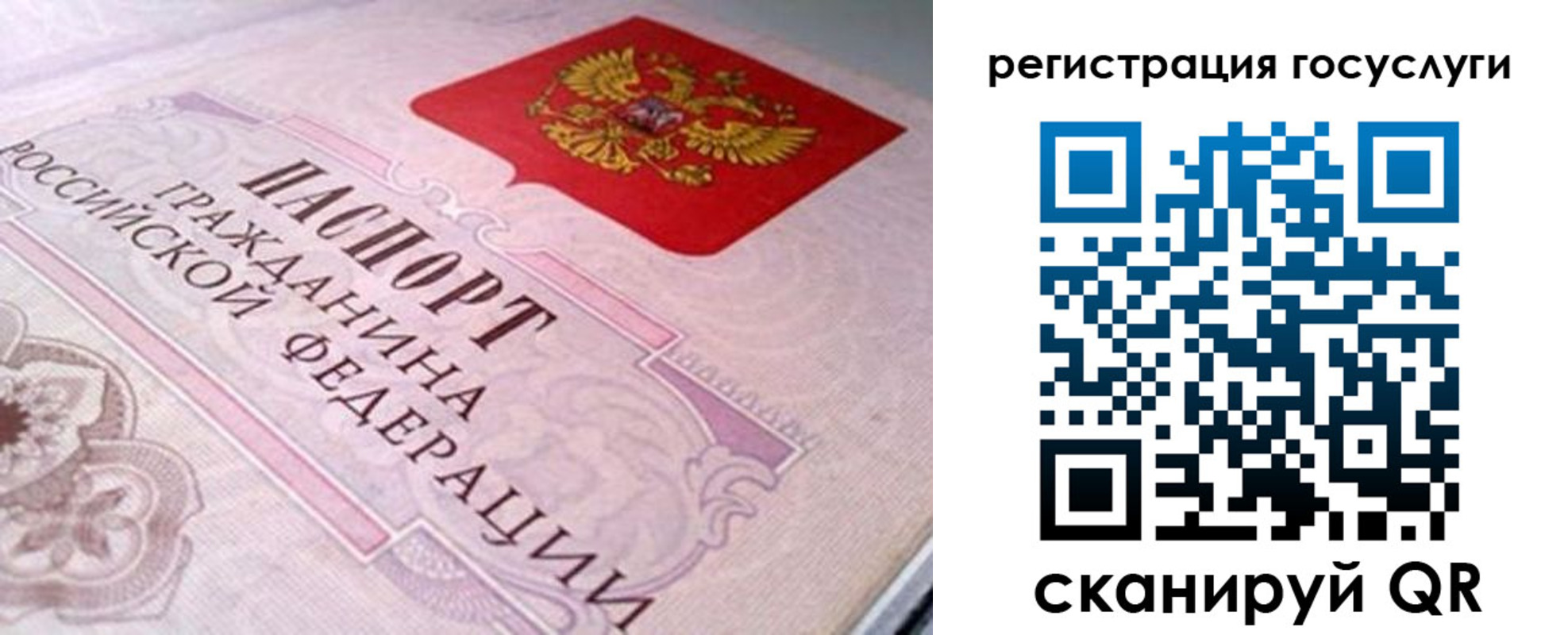 где прописаться в Тайге